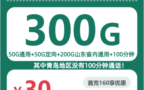 山东风筝卡30元包300G+100分钟套餐介绍