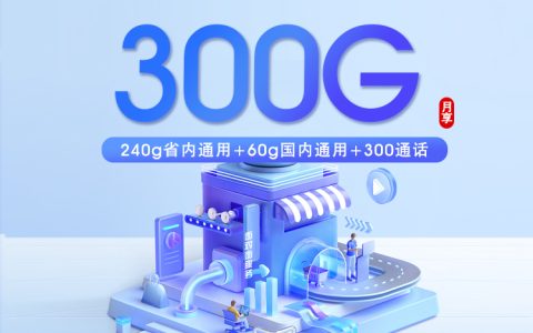 联通潍坊专属卡【28元300G+300分钟】套餐介绍
