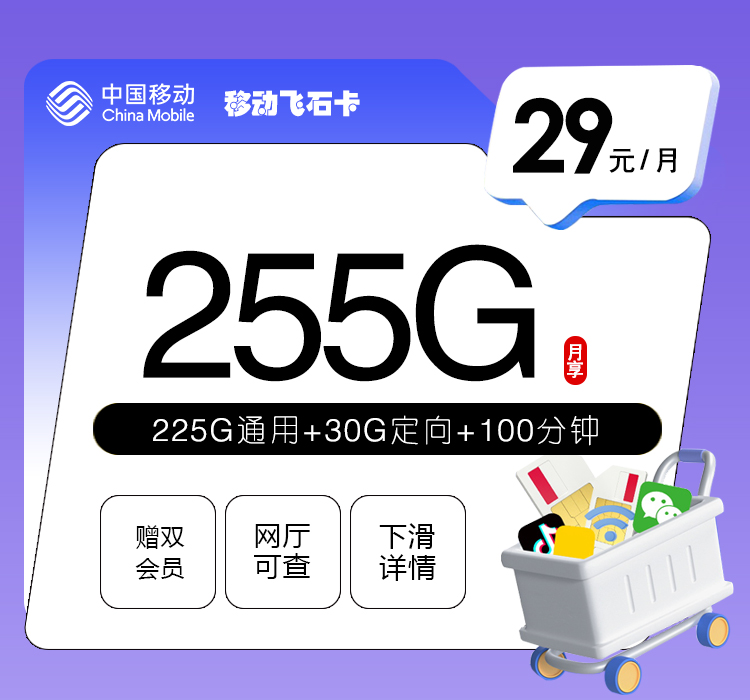 移动飞石卡【29元255G+100分钟+双会员】【仅发广东】