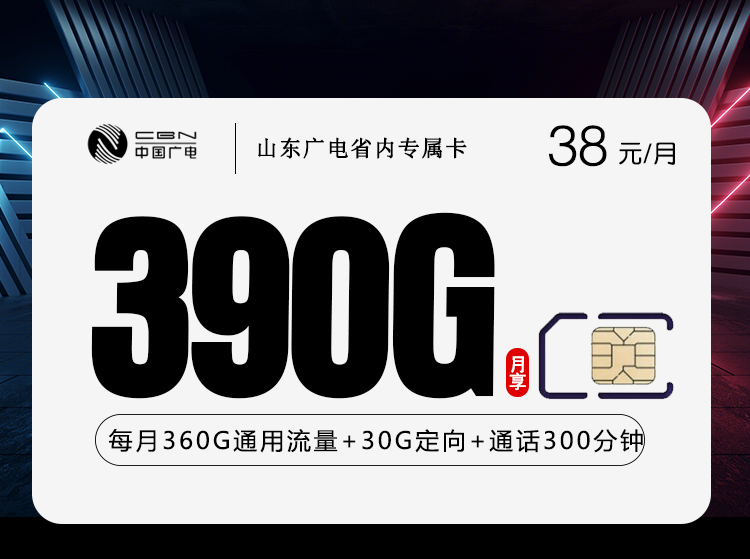 山东广电省内专属卡【38元390G+300分钟】